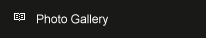 Photo Gallery